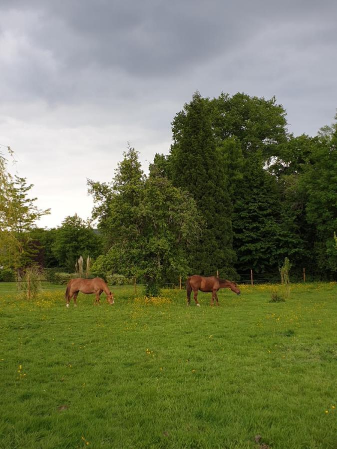 Chambre D'Hote Normande Freneuse-Sur-Risle Екстер'єр фото